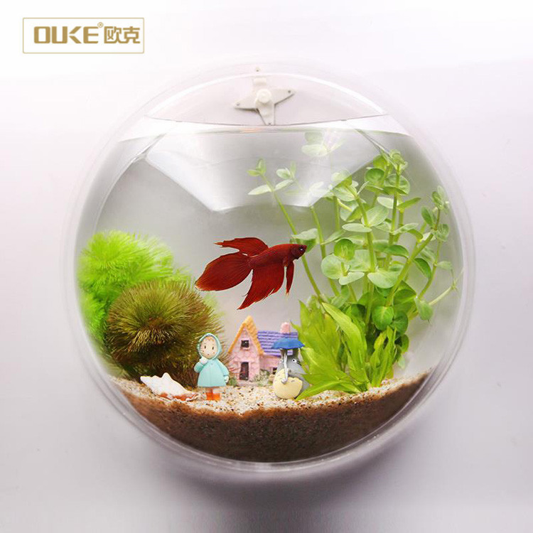 acrylic fish tank.jpg