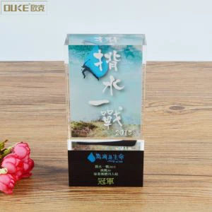 Modni dizajn Tiskanje akrilnega pokala